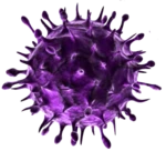 Logo of Virus Diagnostic android Application 